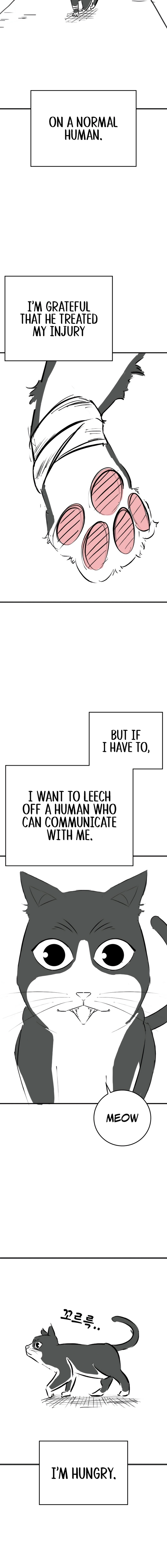 Reality Quest 2 Chapter 164.9 - Page 4