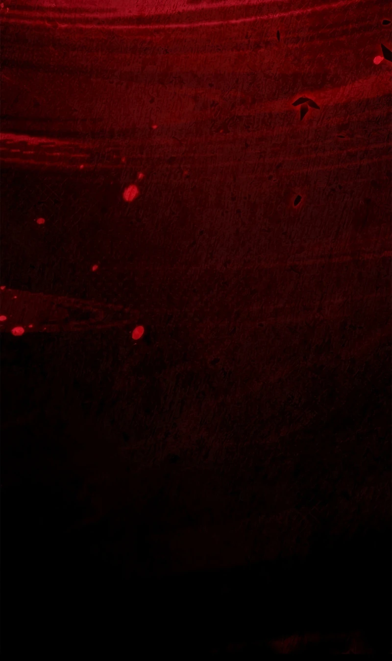 Regressor Instruction Manual Chapter 175 - Page 14