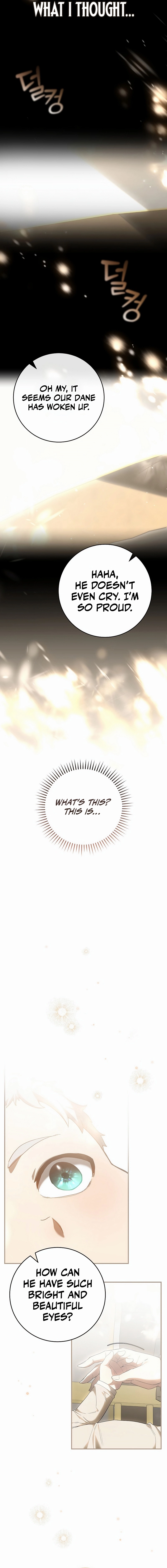 Reincarnated as a Genius Prodigy Chapter 1 - Page 27