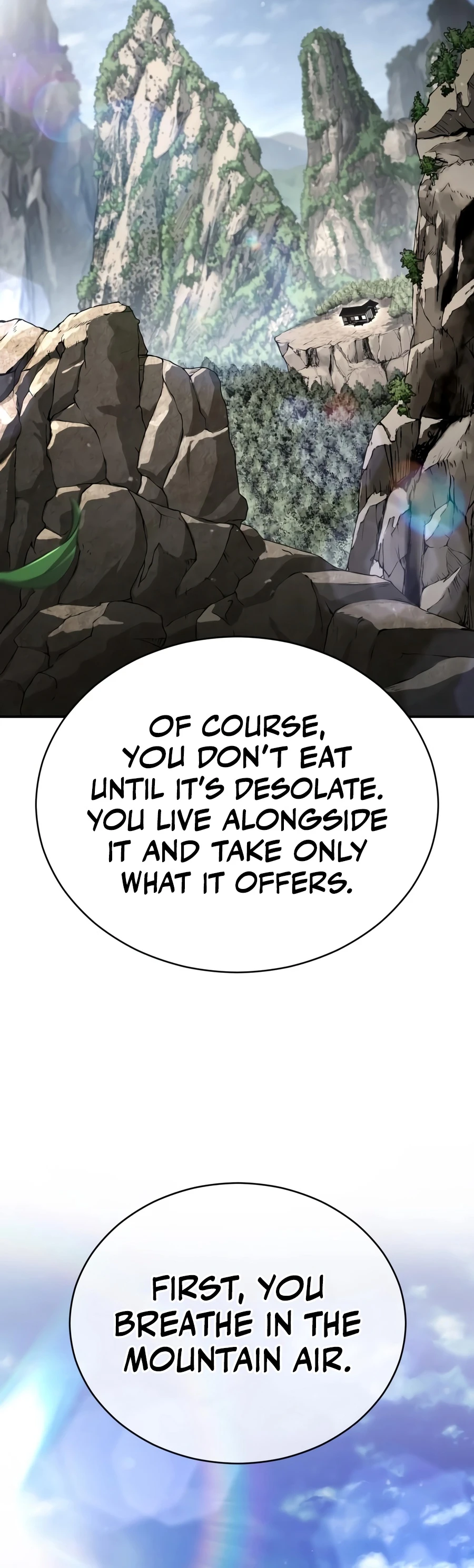 Reincarnation of the Fist King Chapter 63 - Page 15