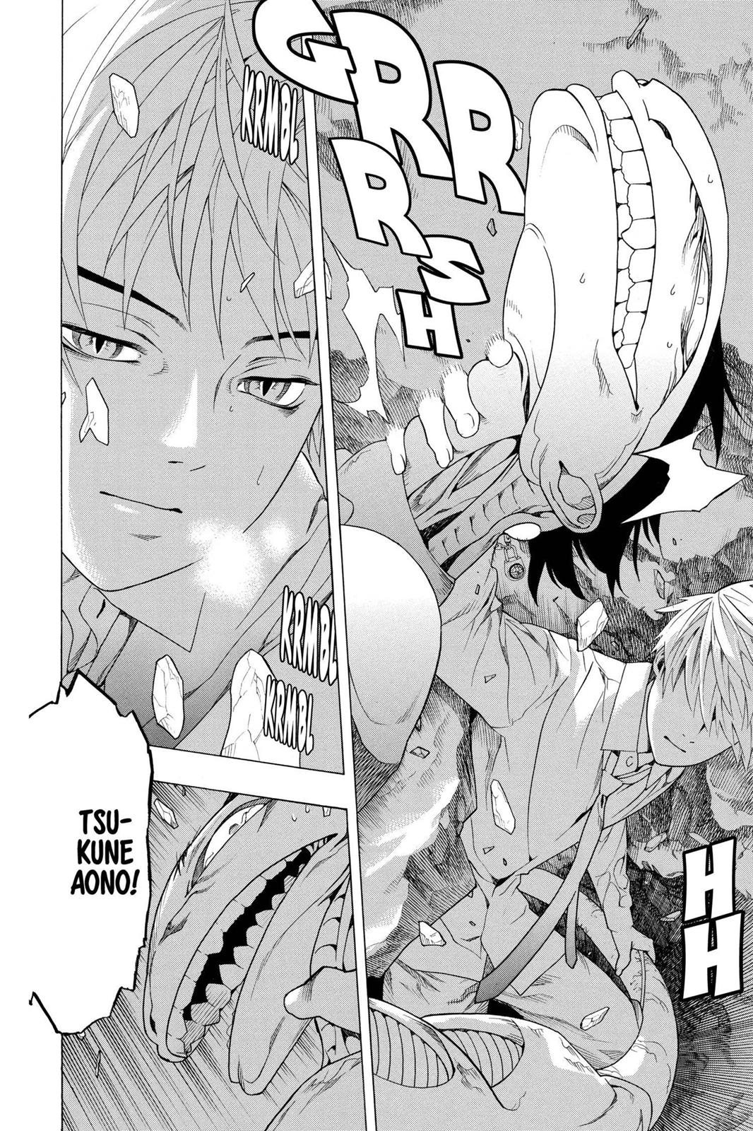 Rosario + Vampire Chapter 29 - Page 41