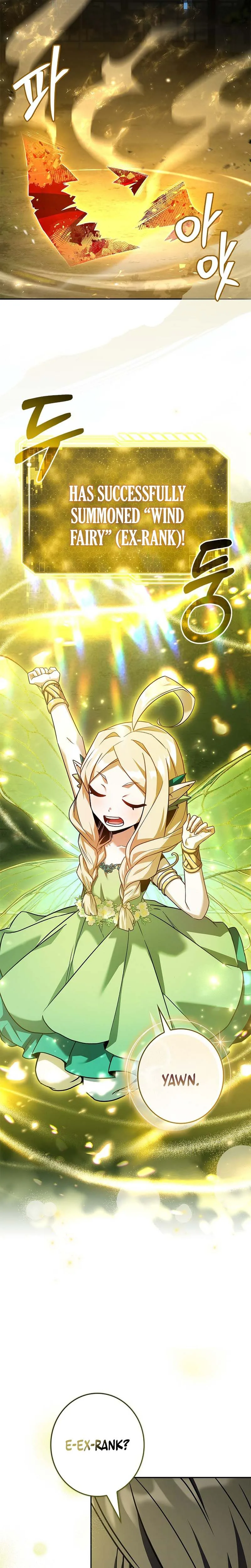 Solo Ex Rank Summoner Chapter 2 - Page 11