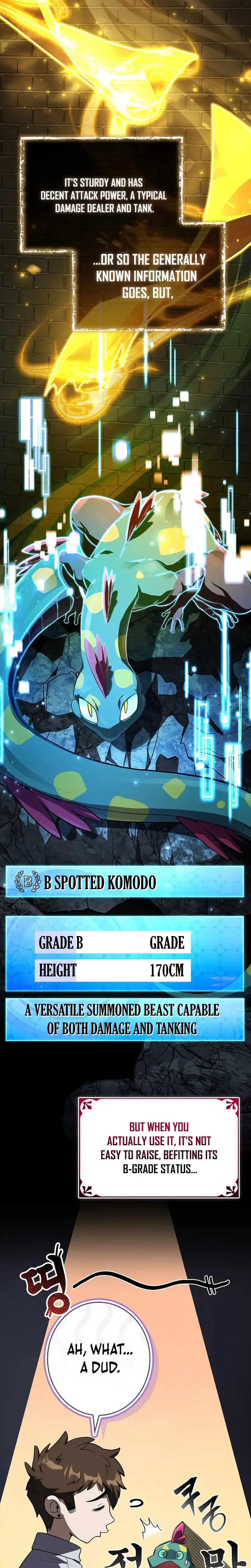 Solo Ex Rank Summoner Chapter 10 - Page 9