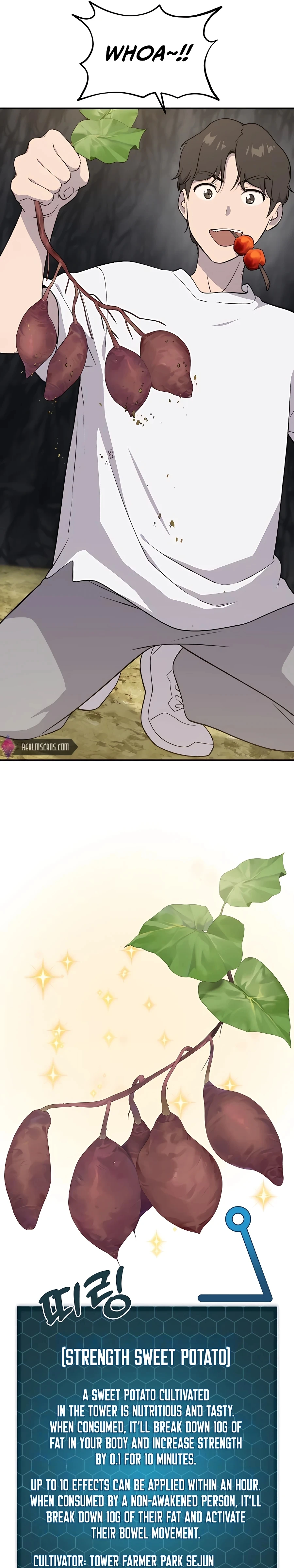 Solo Farming In The Tower Chapter 8 - Page 17