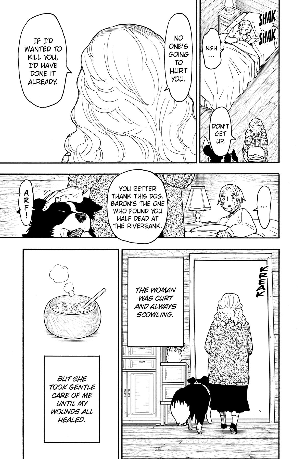 Spy x Family Chapter 100 - Page 18