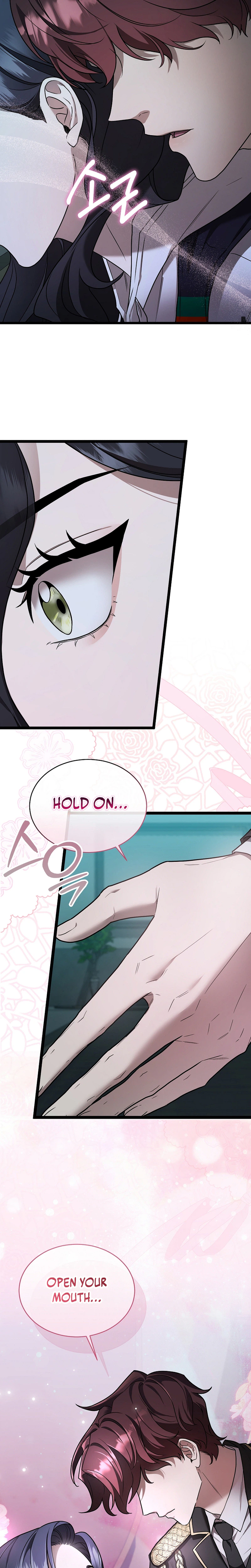 Sss Class Regressor Has No Conscience Chapter 5 - Page 14