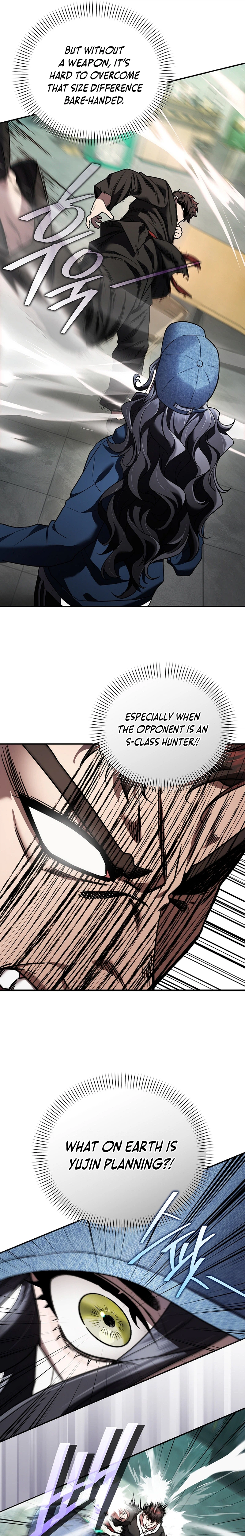 Sss Class Regressor Has No Conscience Chapter 11 - Page 26