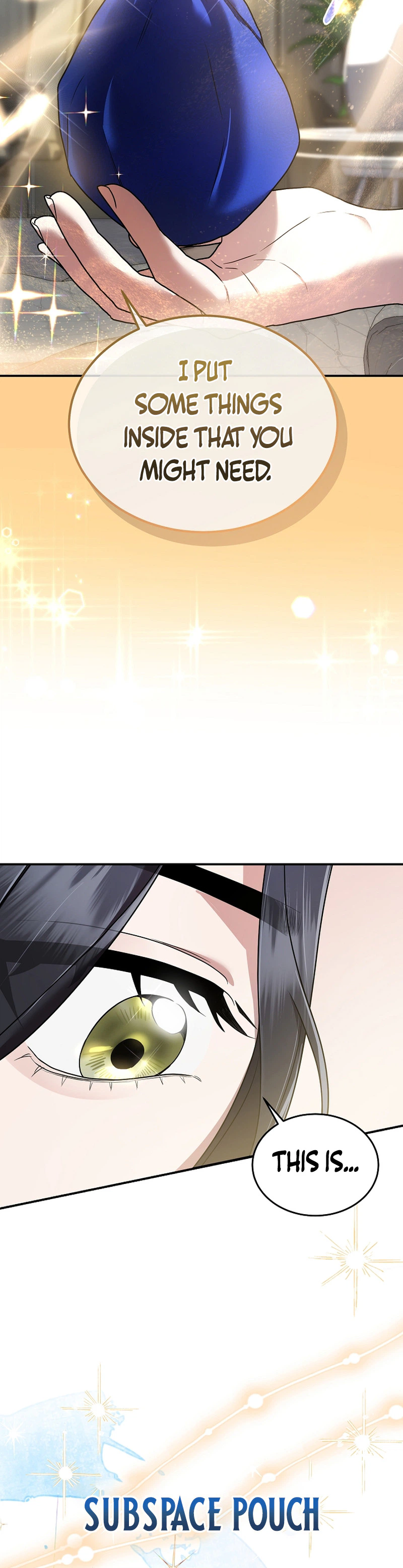 Sss Class Regressor Has No Conscience Chapter 14 - Page 13