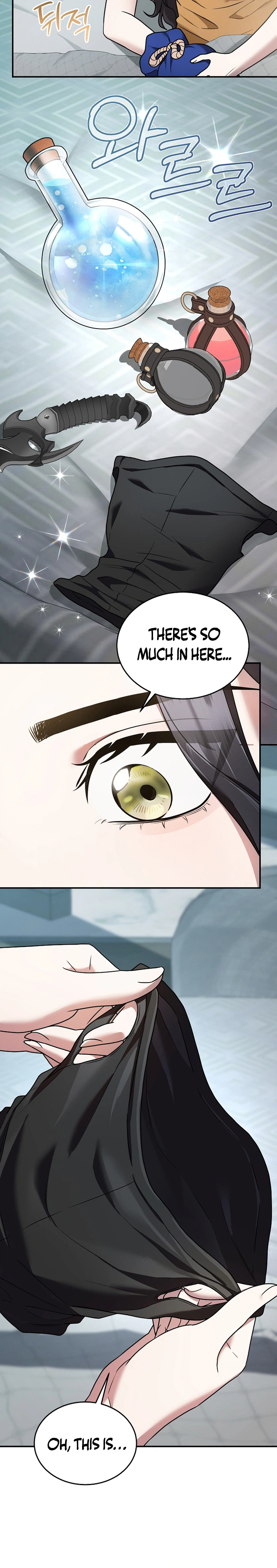 Sss Class Regressor Has No Conscience Chapter 14 - Page 16