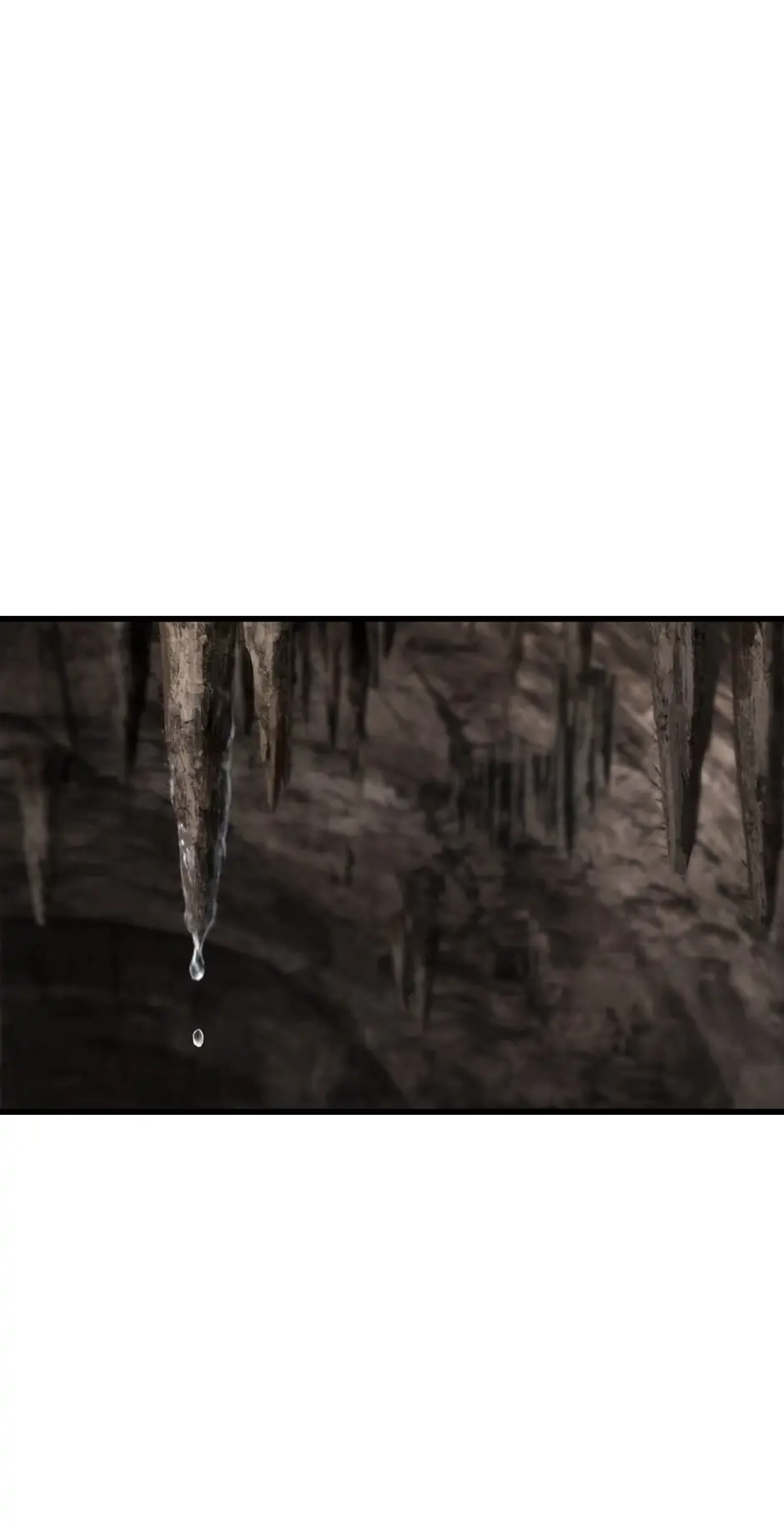 Survival Story of a Sword King in a Fantasy World Chapter 166 - Page 64