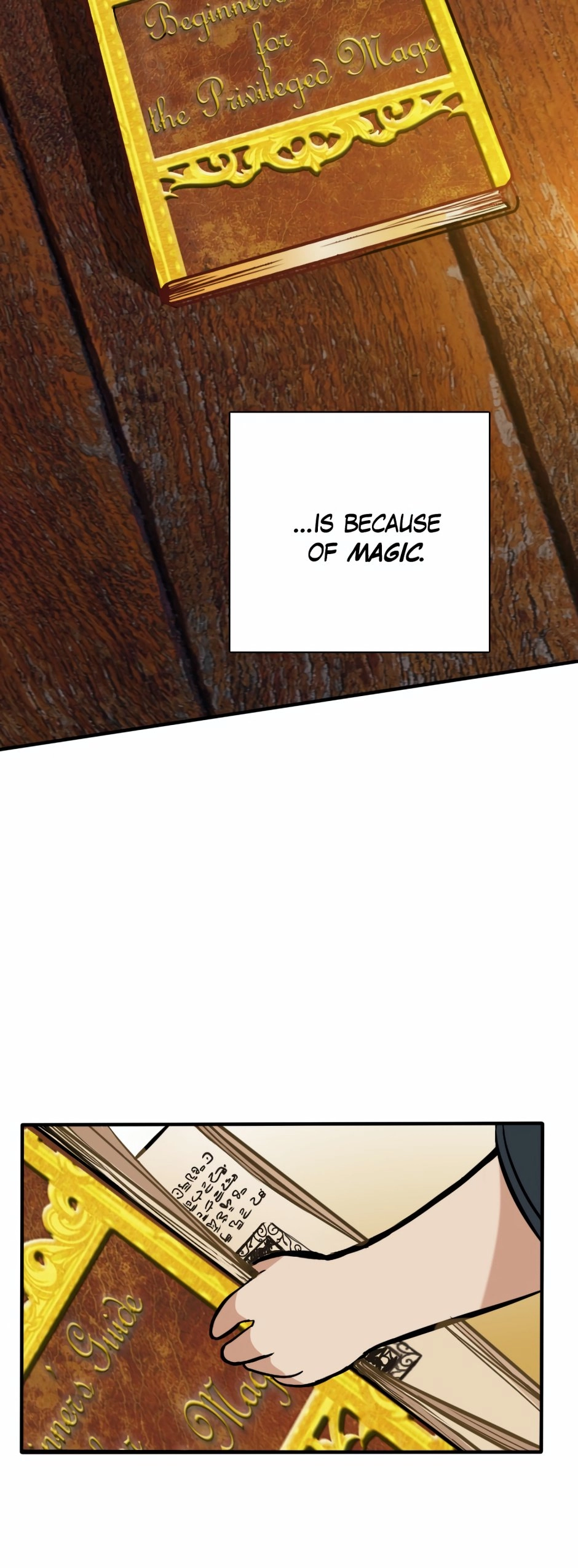 The Beginning After the End Chapter 2 - Page 35
