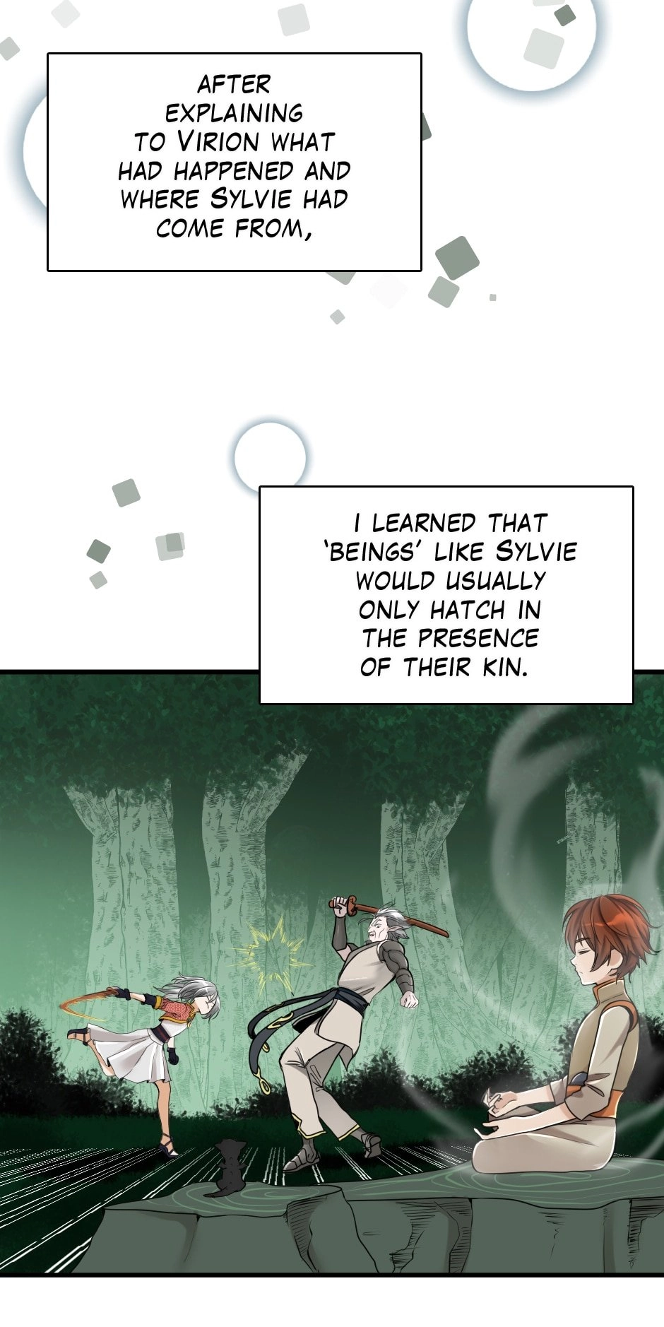 The Beginning After the End Chapter 27 - Page 40