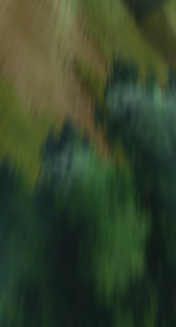 The Dang Clans Swordmaster Heir Just Wants a Normal Life Chapter 8 - Page 77