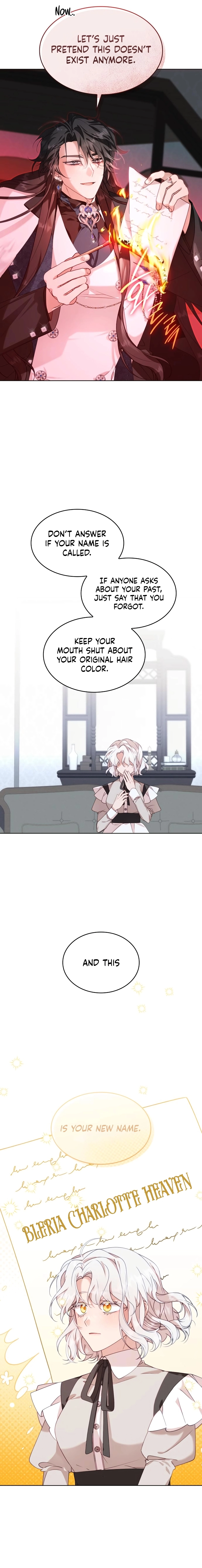 The Day the Real One Appeared Chapter 1 - Page 13