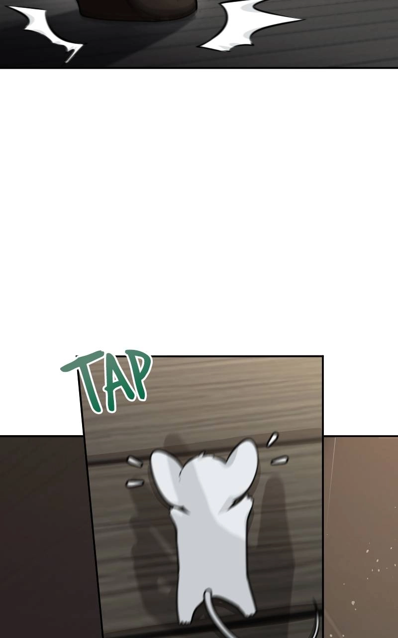 The Laws of Cultivation Chapter 3 - Page 49