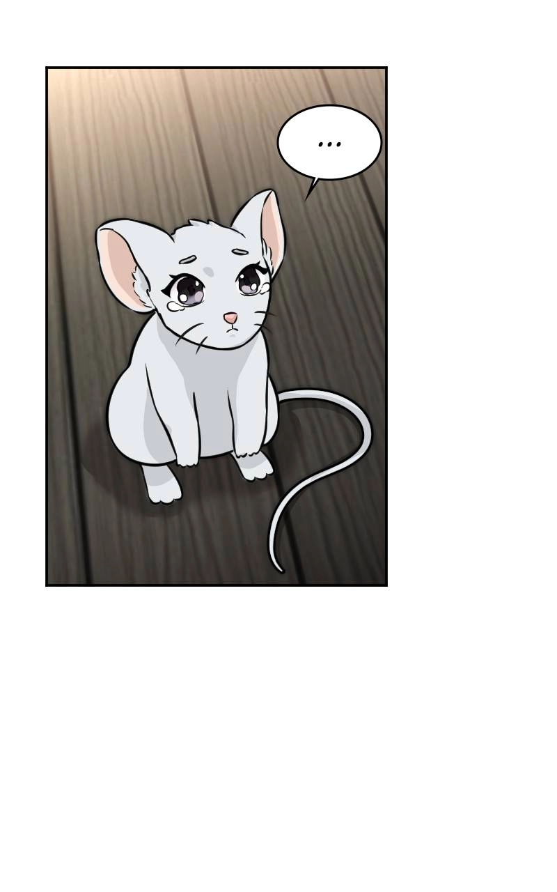 The Laws of Cultivation Chapter 3 - Page 68