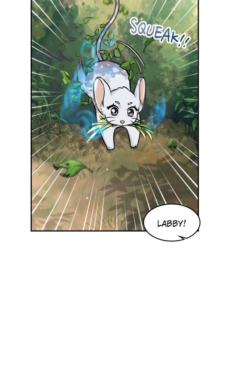 The Laws of Cultivation Chapter 4 - Page 5
