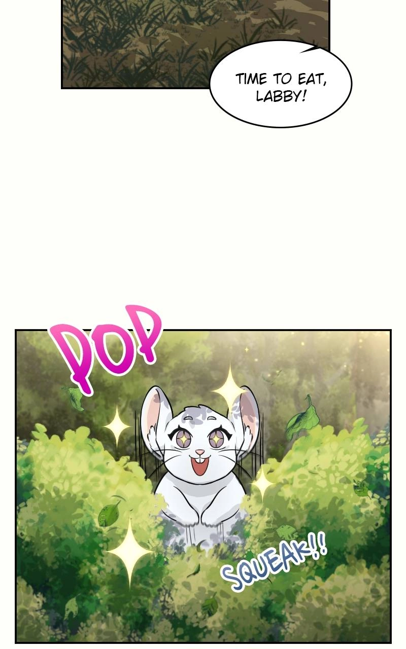 The Laws of Cultivation Chapter 4 - Page 17