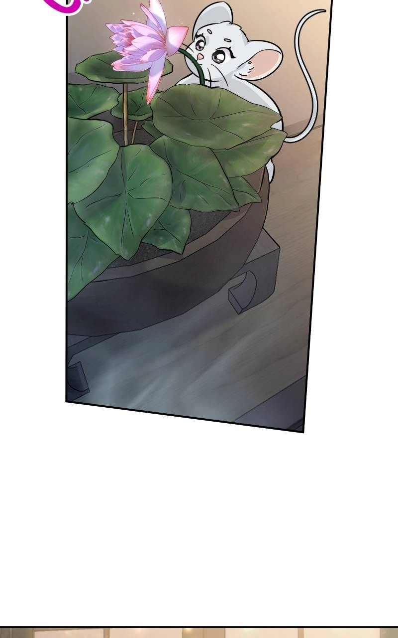 The Laws of Cultivation Chapter 4 - Page 66