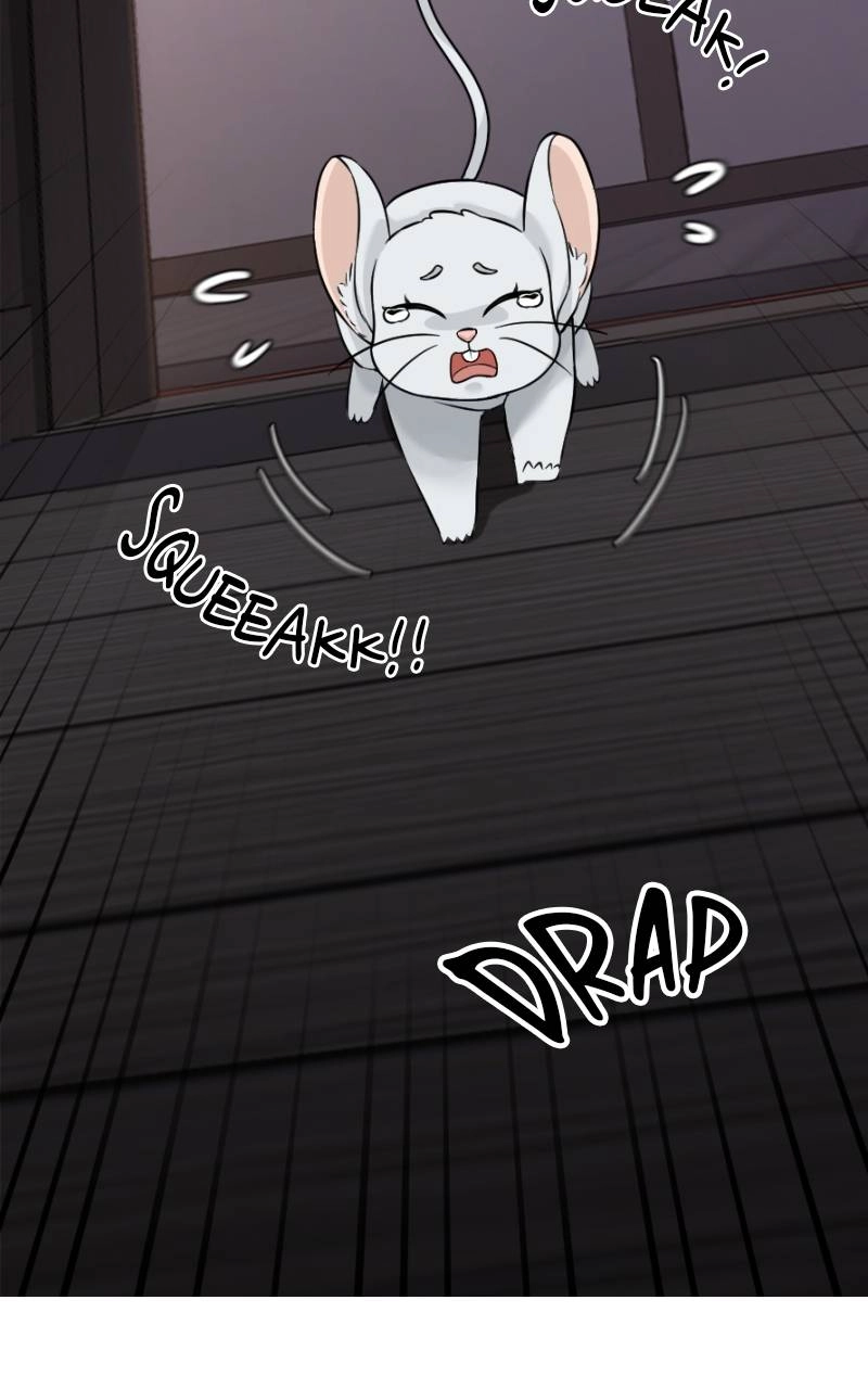 The Laws of Cultivation Chapter 6 - Page 49