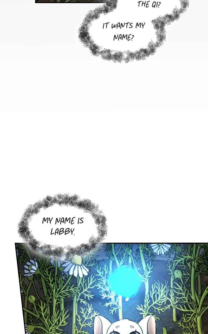 The Laws of Cultivation Chapter 7 - Page 12