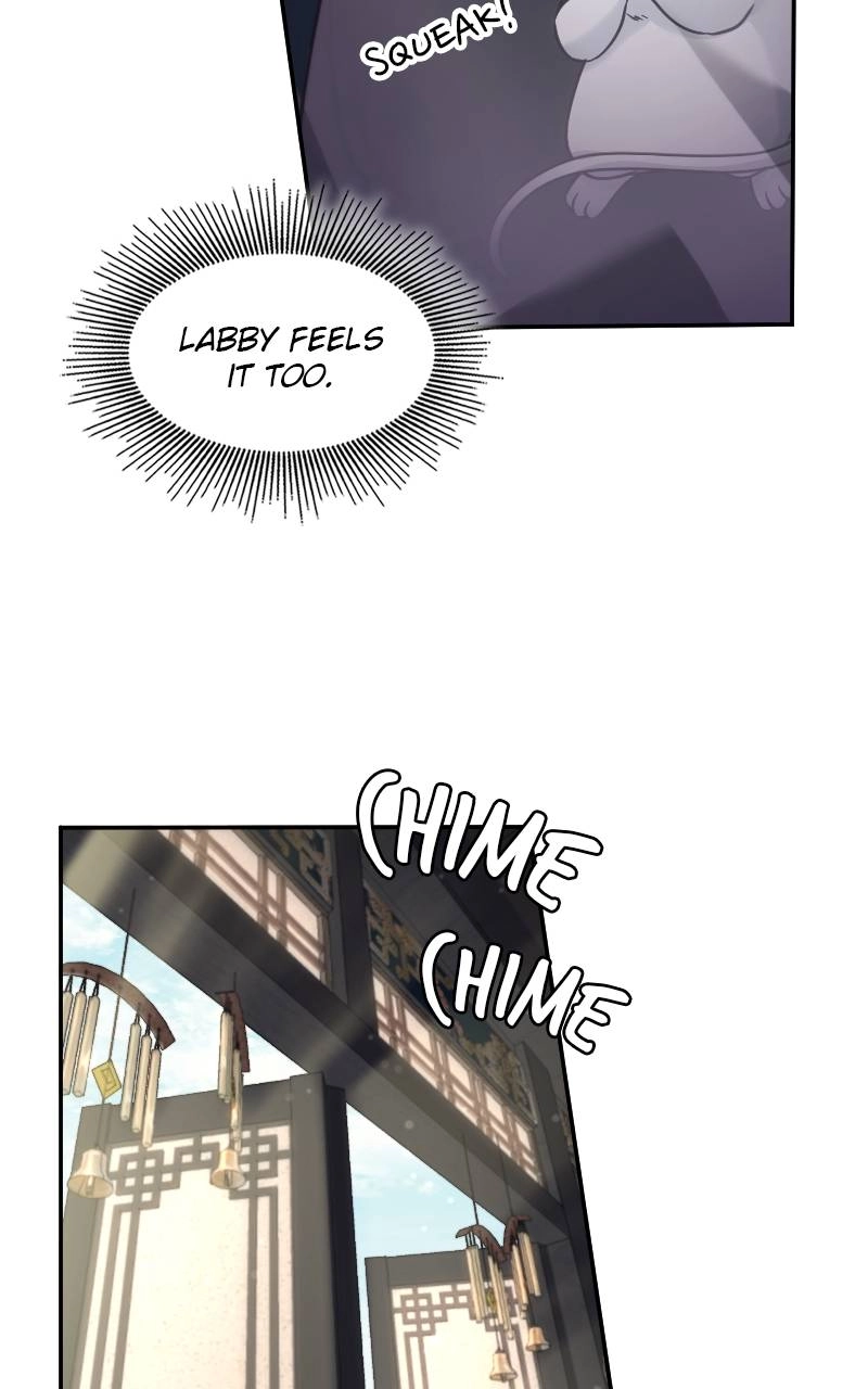 The Laws of Cultivation Chapter 8 - Page 50