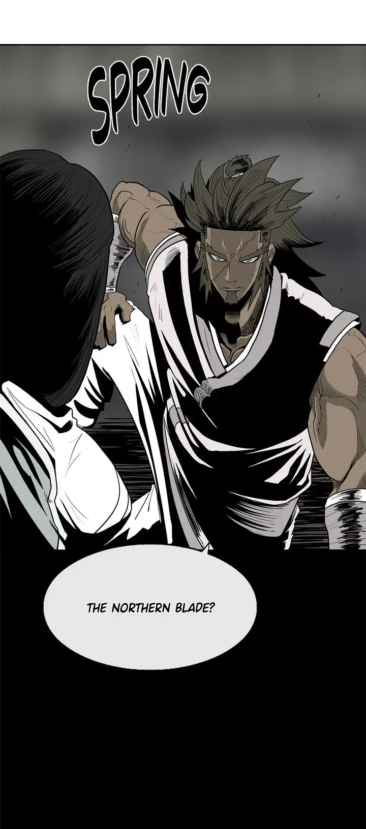 The Legend of the Northern Blade Chapter 81 - Page 29