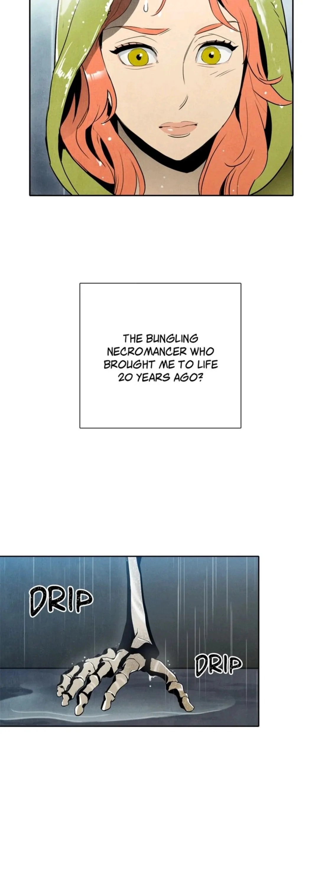 The Skeleton Soldier Failed to Defend the Dungeon Chapter 1 - Page 28