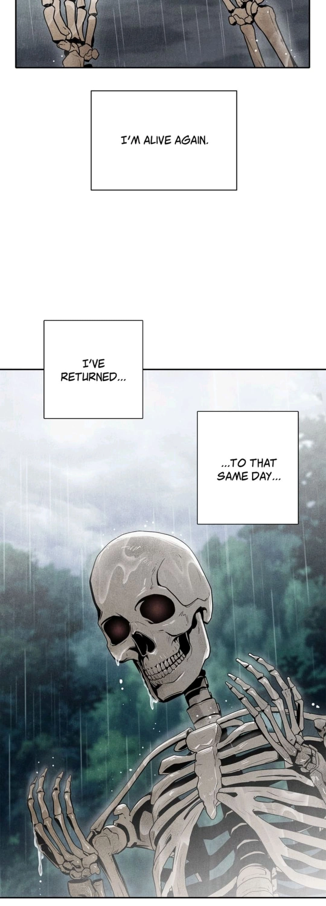 The Skeleton Soldier Failed to Defend the Dungeon Chapter 2 - Page 3