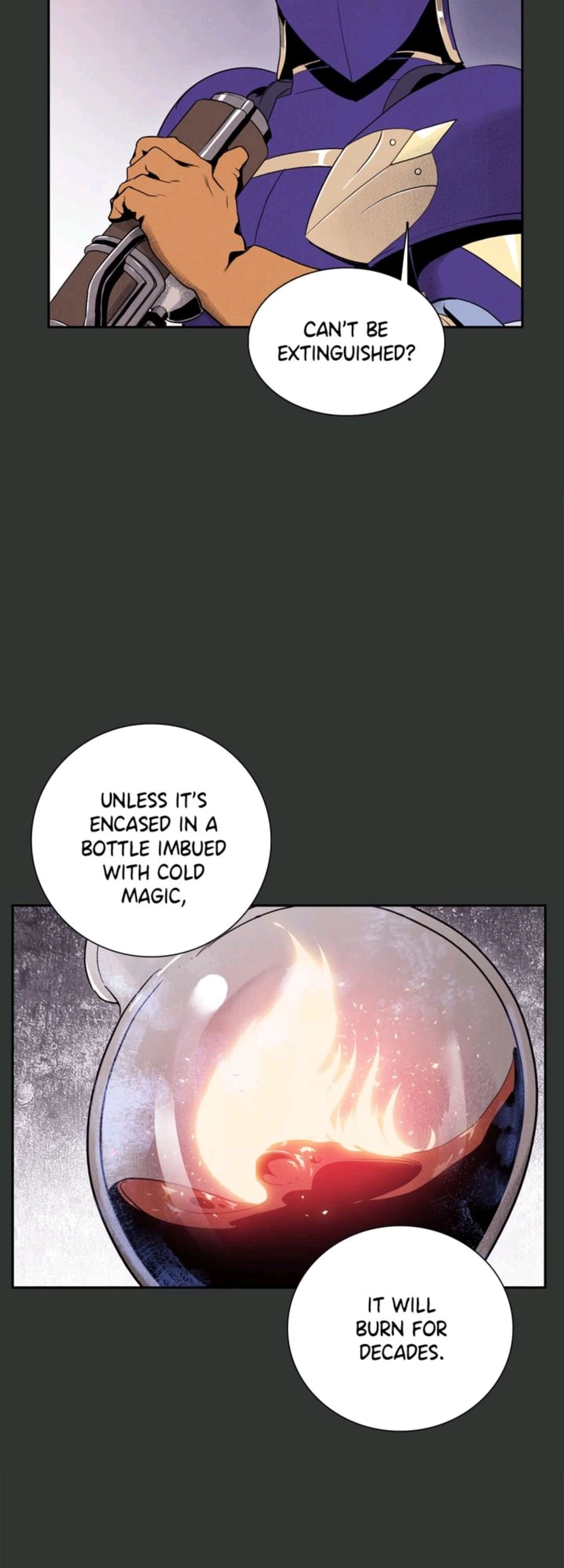 The Skeleton Soldier Failed to Defend the Dungeon Chapter 14 - Page 13