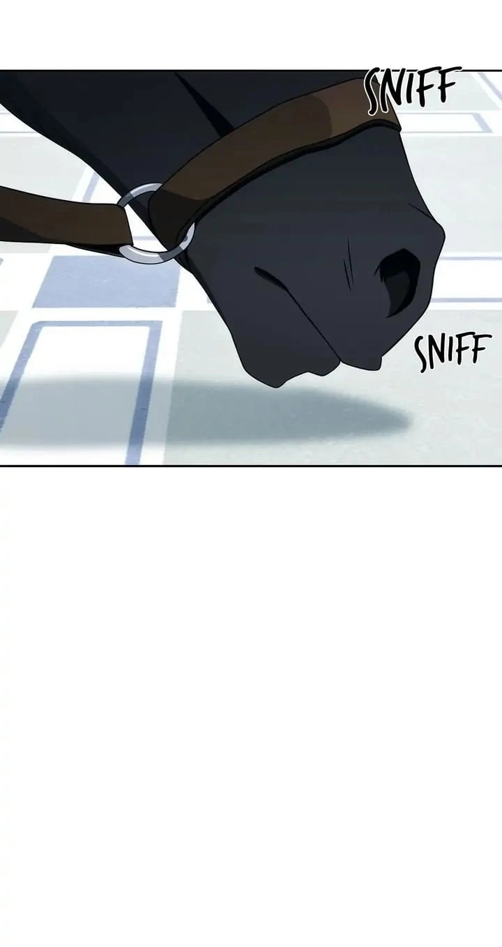 The Skeleton Soldier Failed to Defend the Dungeon Chapter 187 - Page 24