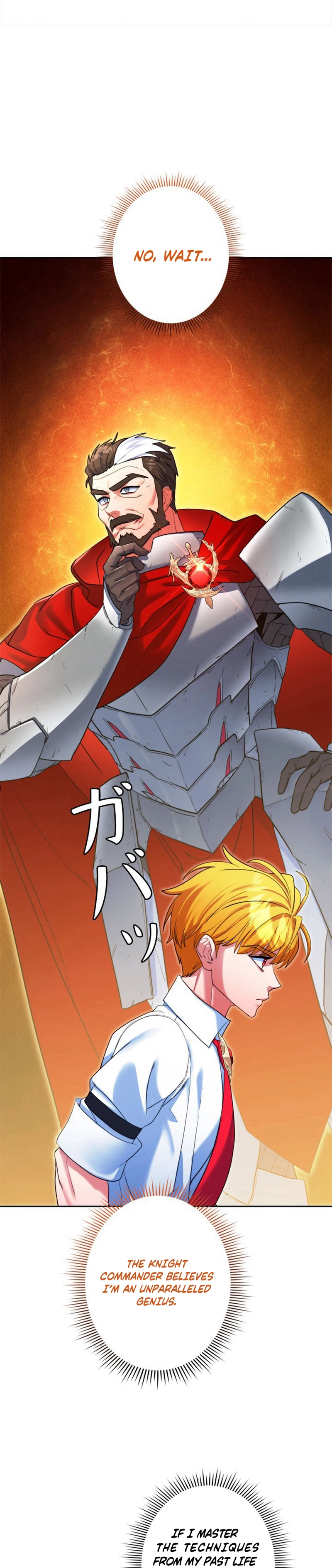 The Sword Emperor Reincarnated into a Swordmaster Clan Chapter 10 - Page 24