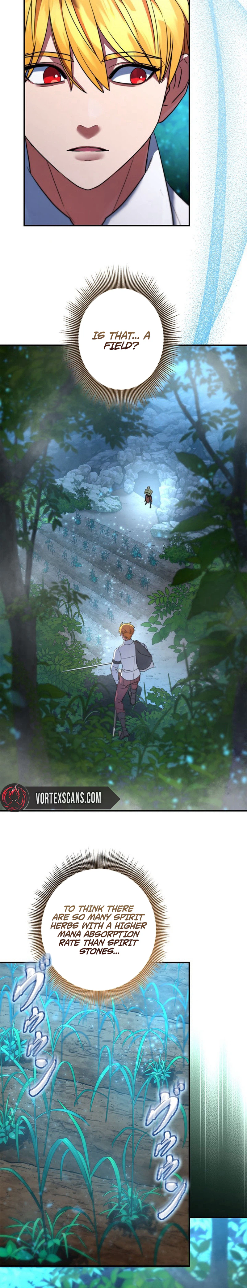 The Sword Emperor Reincarnated into a Swordmaster Clan Chapter 12 - Page 13