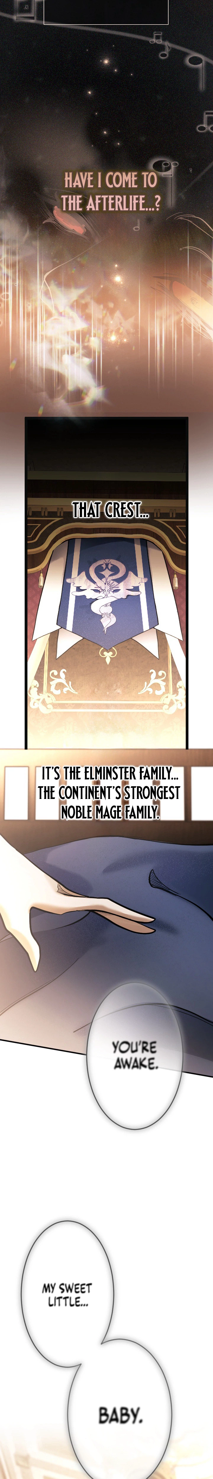 The Sword Saint Reincarnated Into A Noble Mage Family Chapter 1 - Page 41