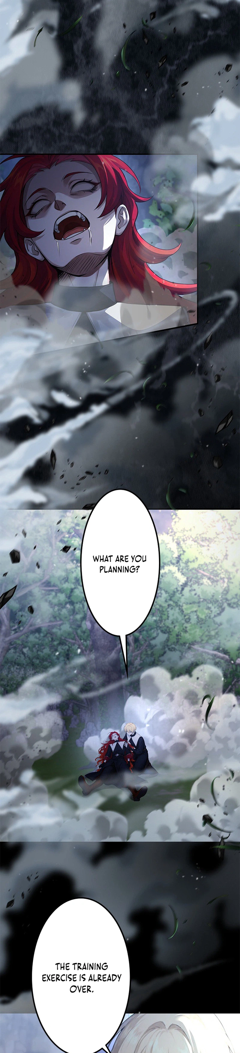 The Sword Saint Reincarnated Into A Noble Mage Family Chapter 14 - Page 12