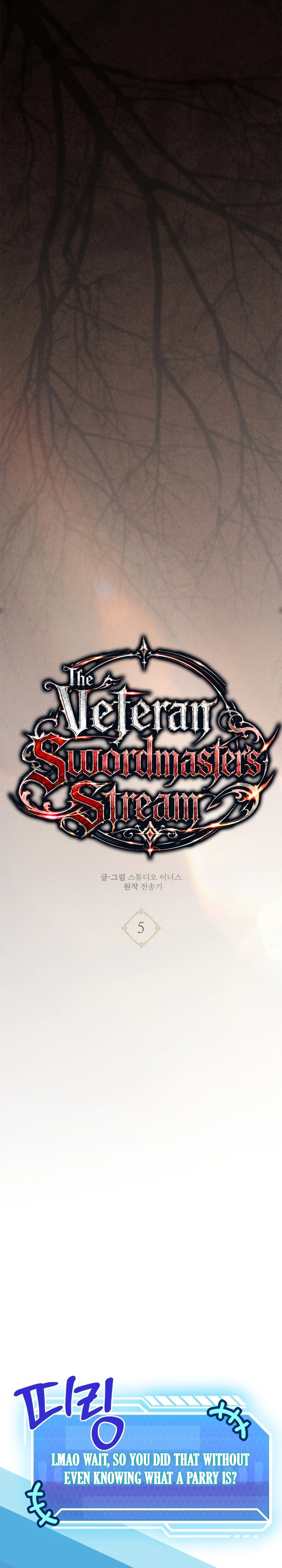 The Veteran Swordmaster's Stream Chapter 5 - Page 13