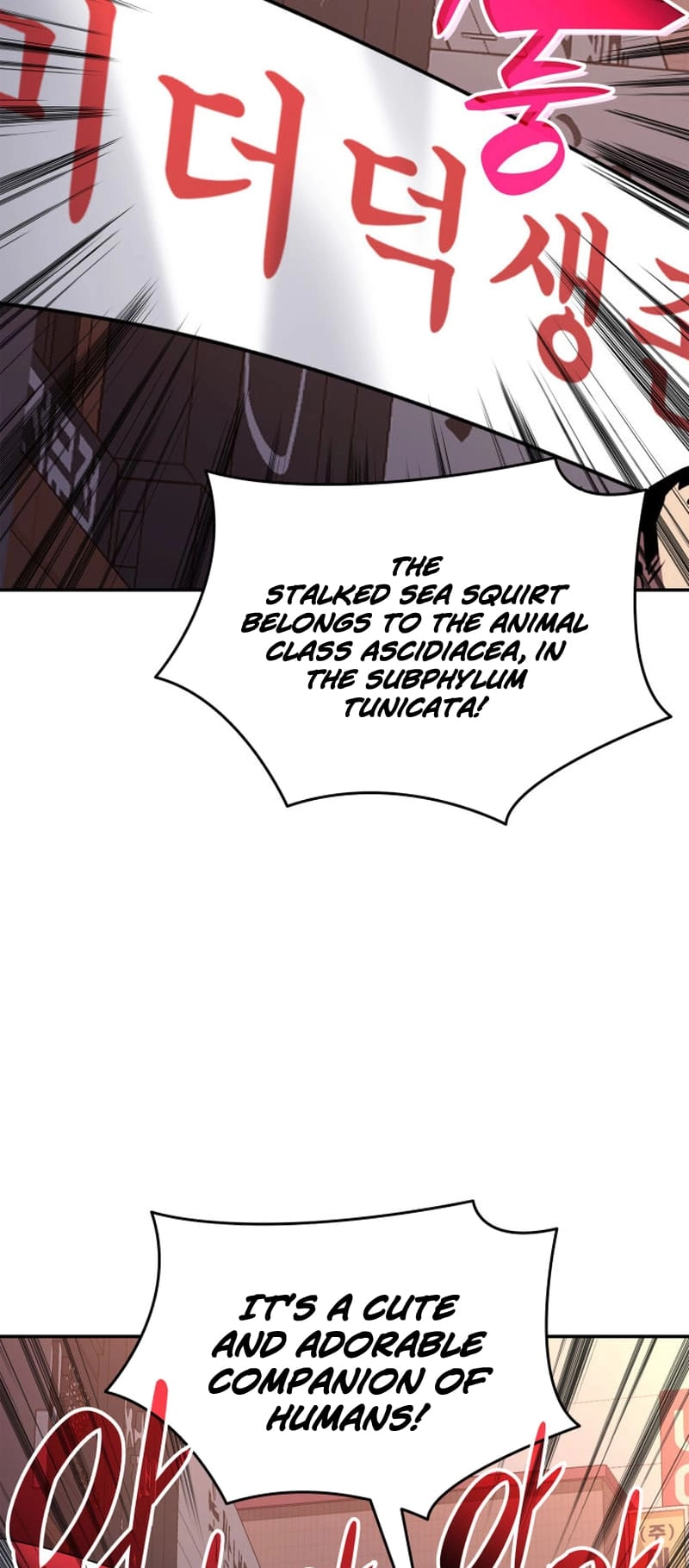The Worn and Torn Newbie Chapter 166 - Page 39