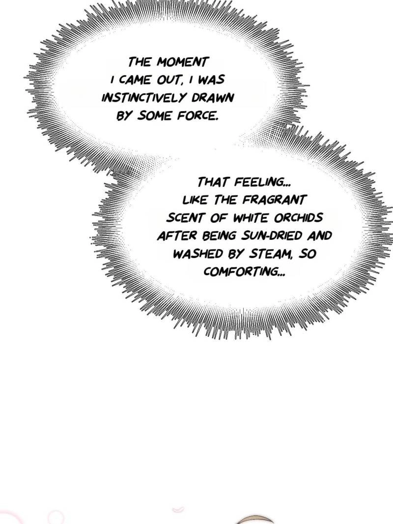 Top Tier Providence Chapter 169 - Page 78