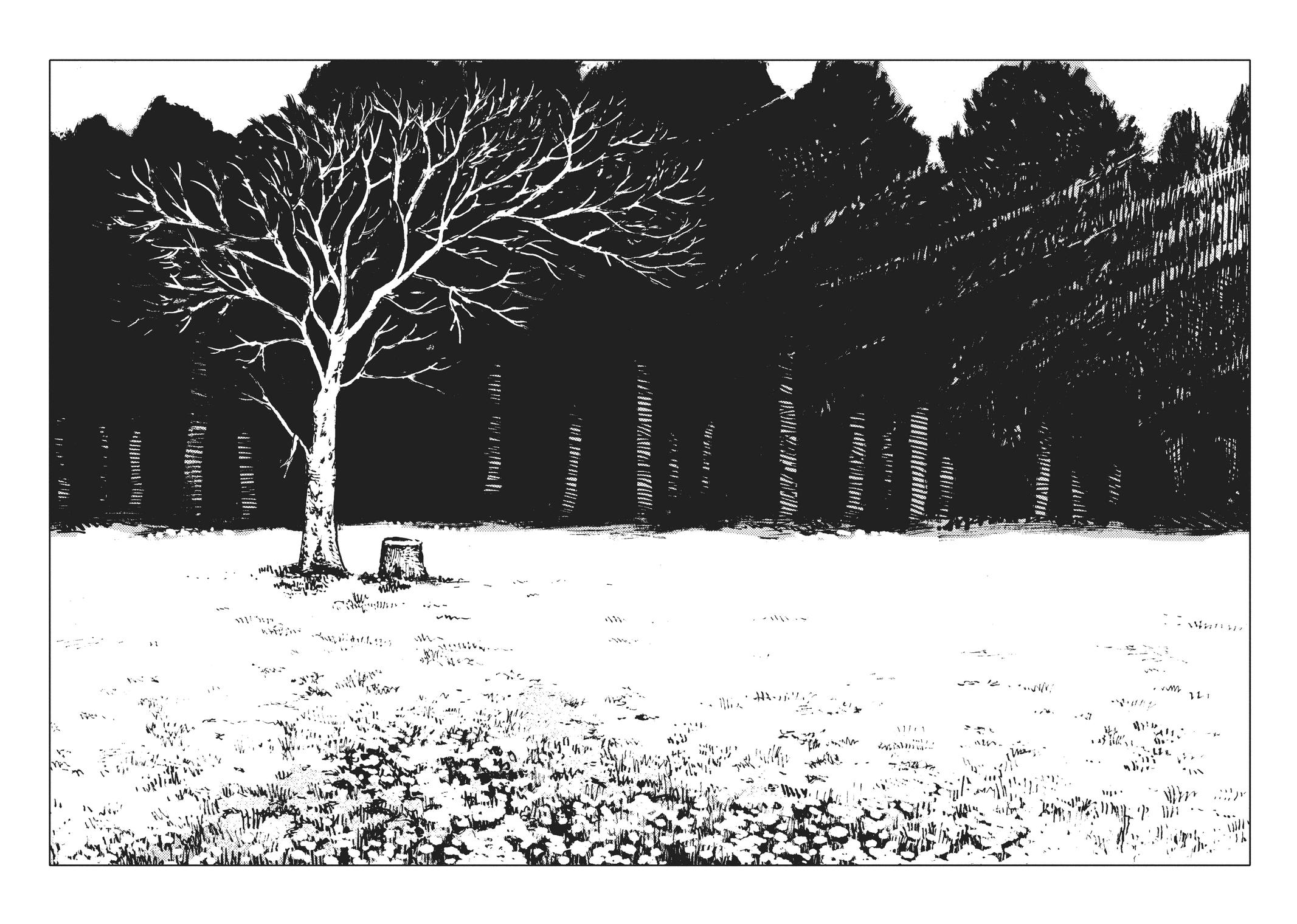 The Girl From the Other Side - Siúil, a Rún Chapter 53 - Page 37