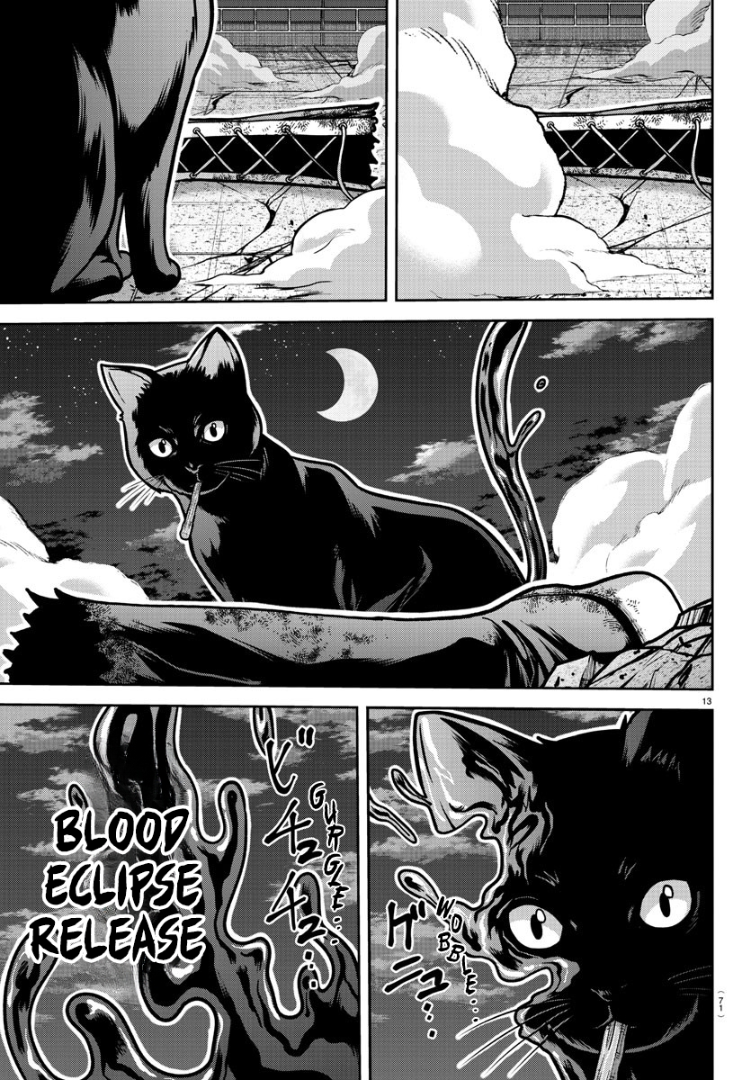 Tougen Anki - Legend of the Cursed Blood Chapter 184 - Page 13
