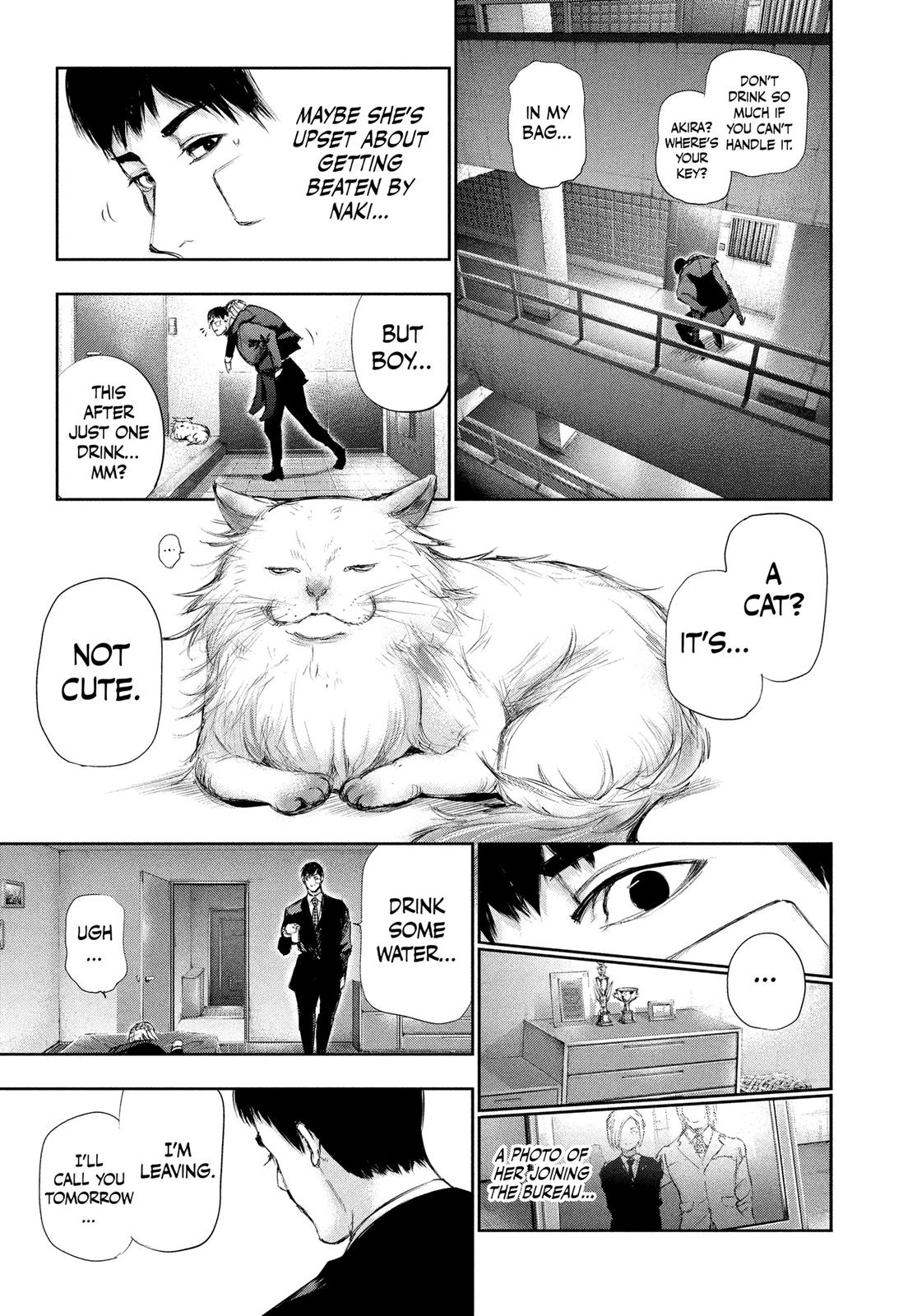 Tokyo Ghoul Chapter 110 - Page 17