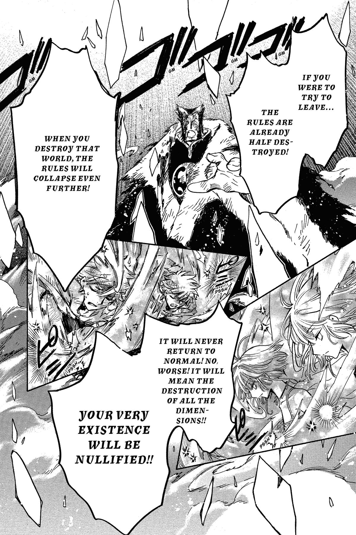 Tsubasa - RESERVoir CHRoNiCLE Chapter 229 - Page 11