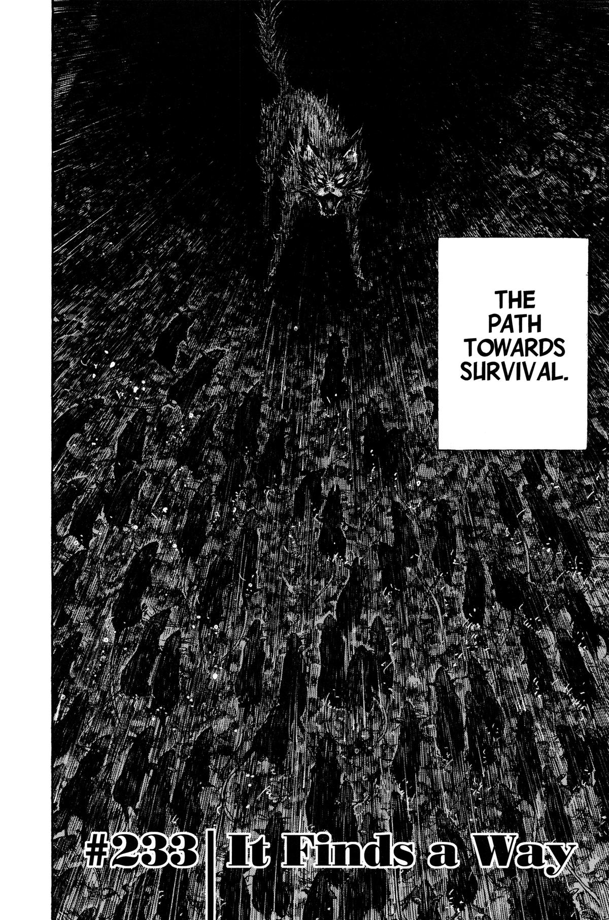 Vagabond Chapter 233 - Page 3