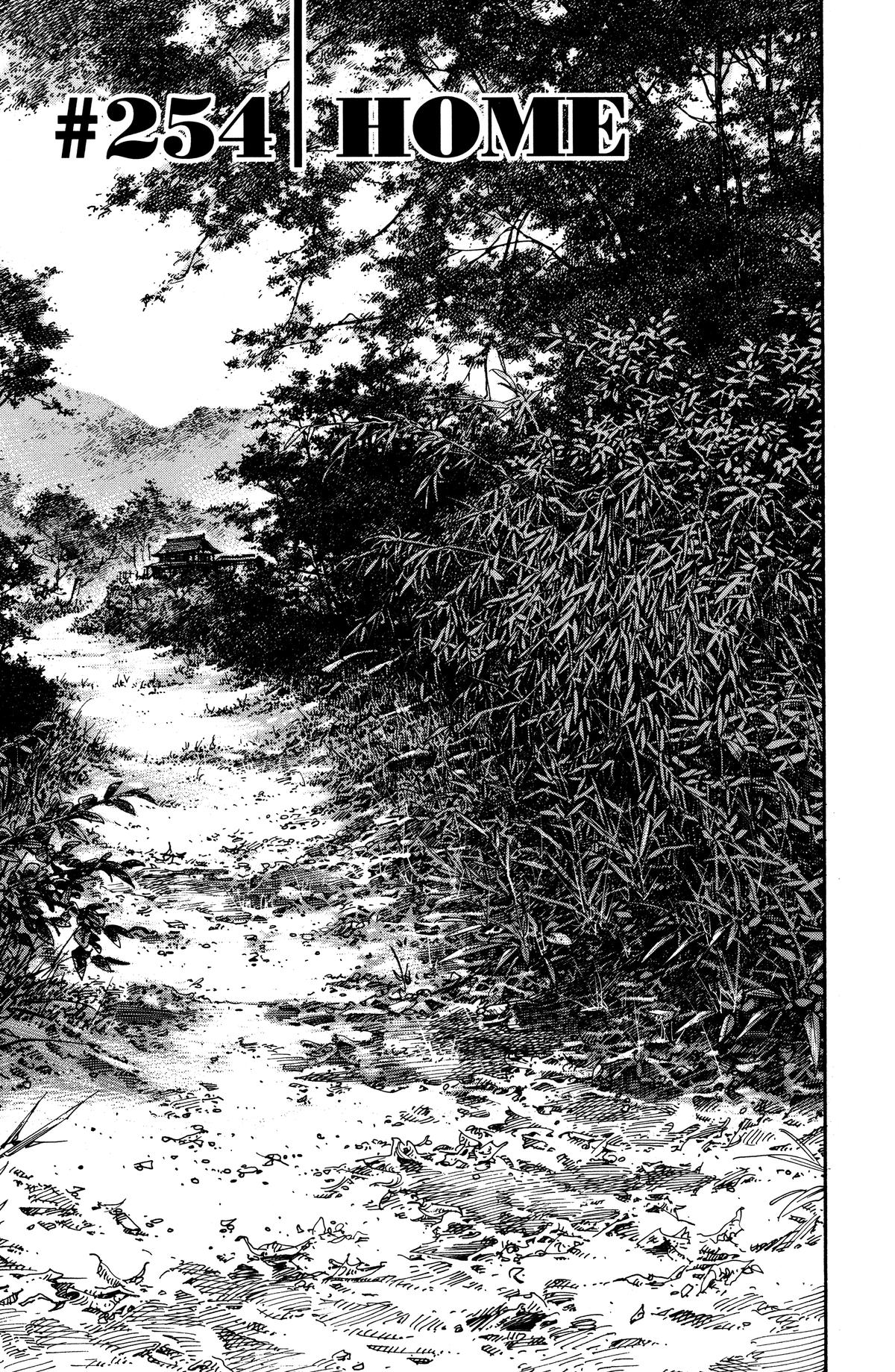 Vagabond Chapter 254 - Page 3