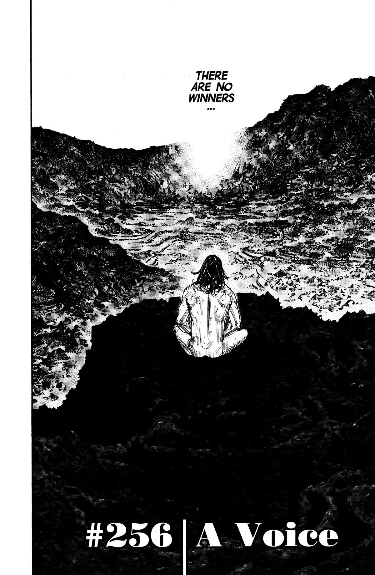 Vagabond Chapter 256 - Page 4