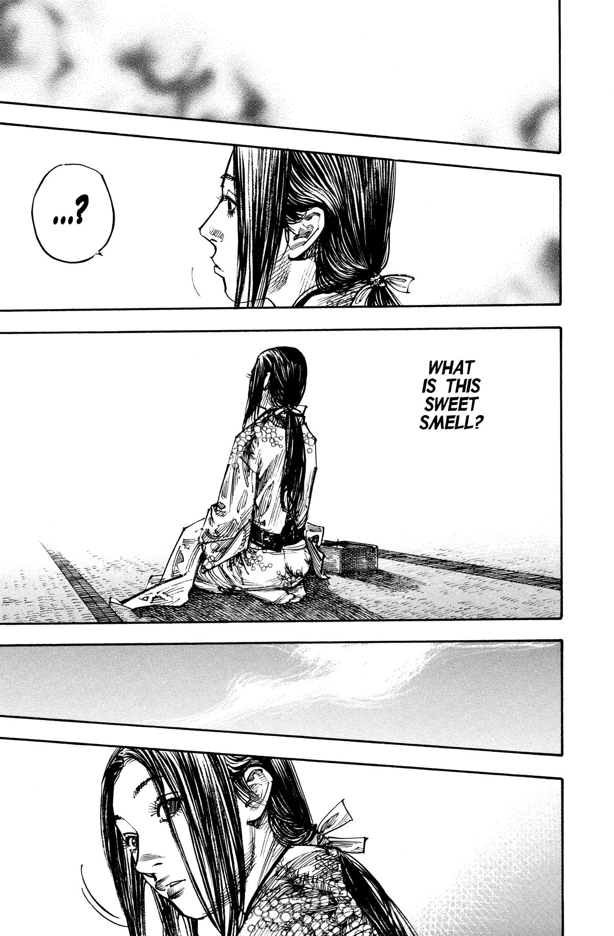 Vagabond Chapter 259 - Page 17