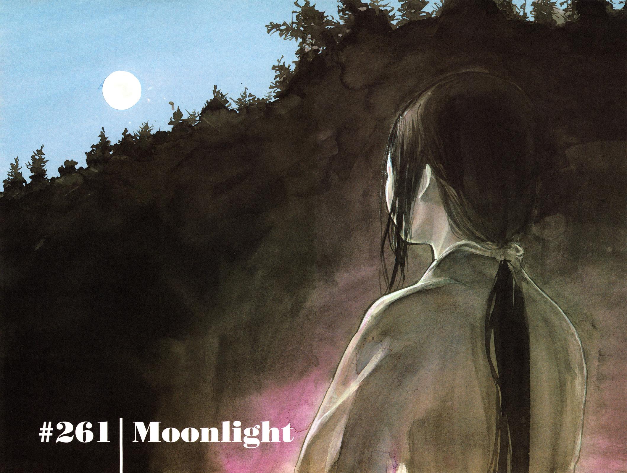 Vagabond Chapter 261 - Page 3