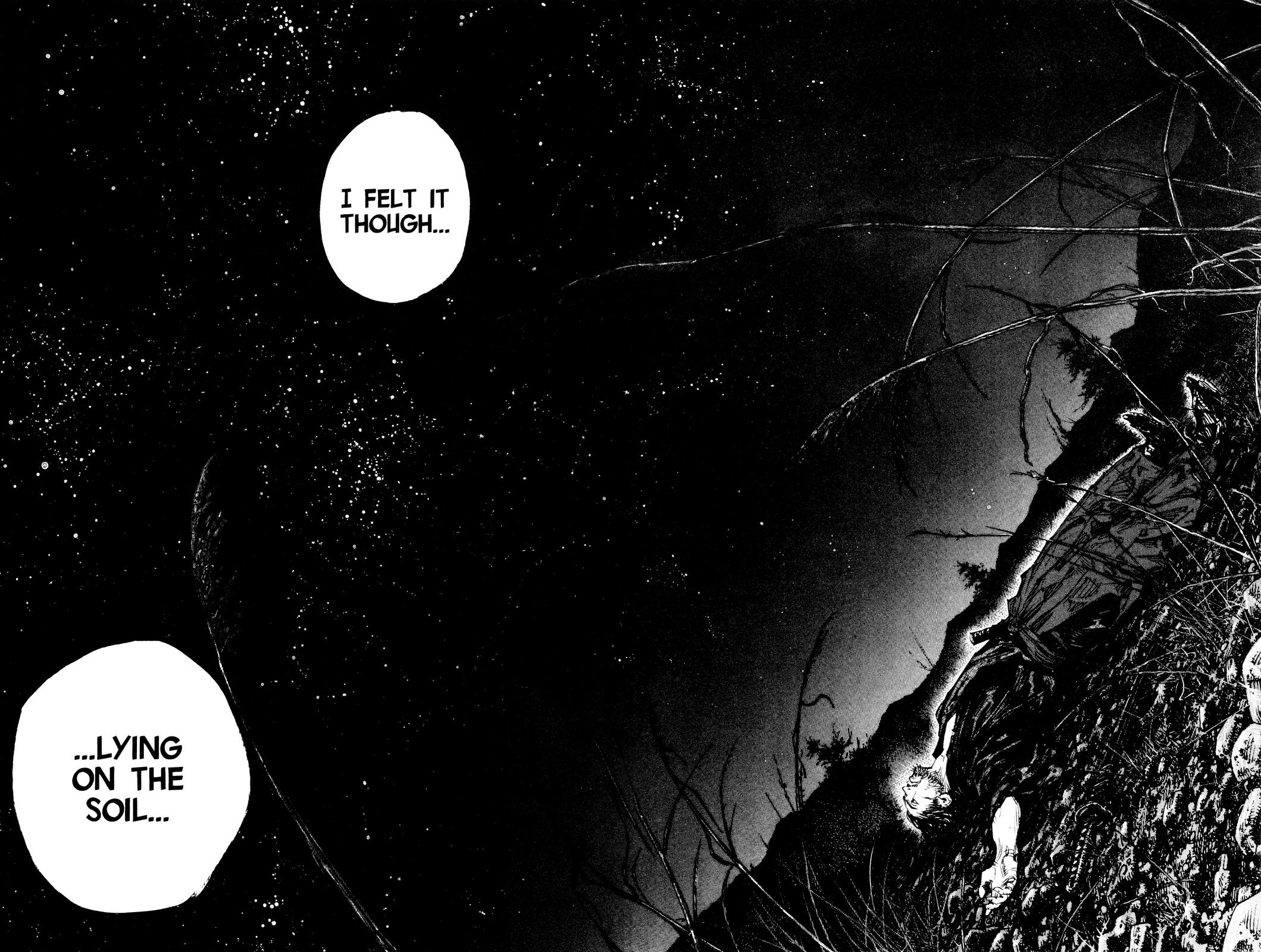 Vagabond Chapter 311 - Page 33