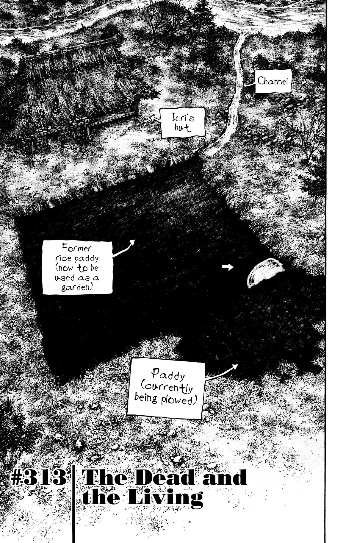 Vagabond Chapter 313 - Page 3