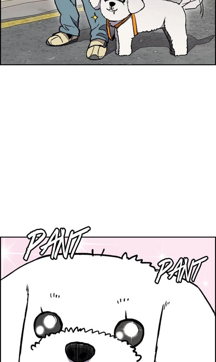 Wind Breaker Chapter 278 - Page 52